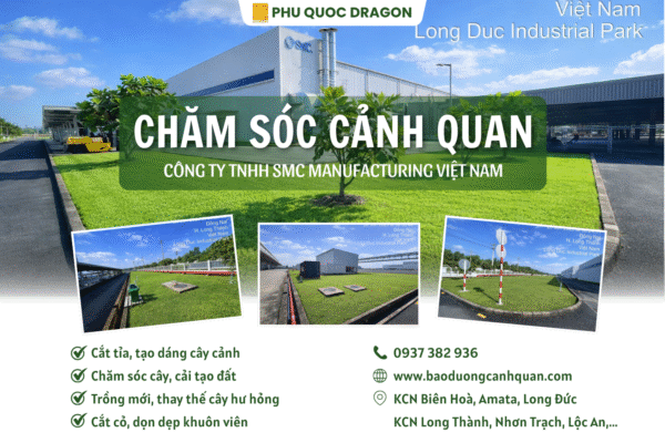 Chăm sóc cảnh quan