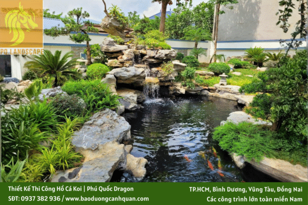 thiết kế thi công hồ cá koi