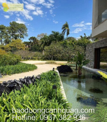 Lưu ý khi thiết kế 