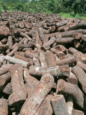 Danh mục dịch vụ chất đốt