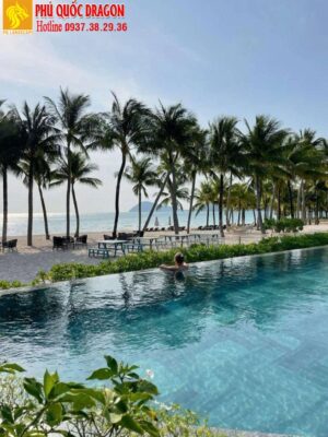 Ứng dụng của cây dừa