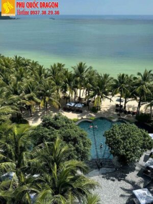 Lợi ích khi trồng cây dừa công trình