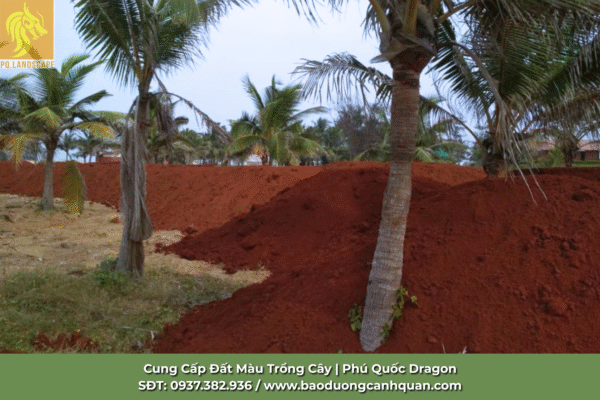 Đất màu trồng cây