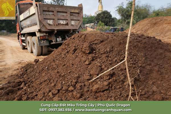 Đất màu trồng cây