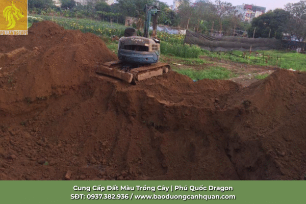 Đất màu trồng cây