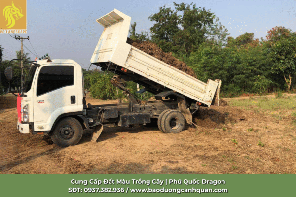 Đất màu trồng cây