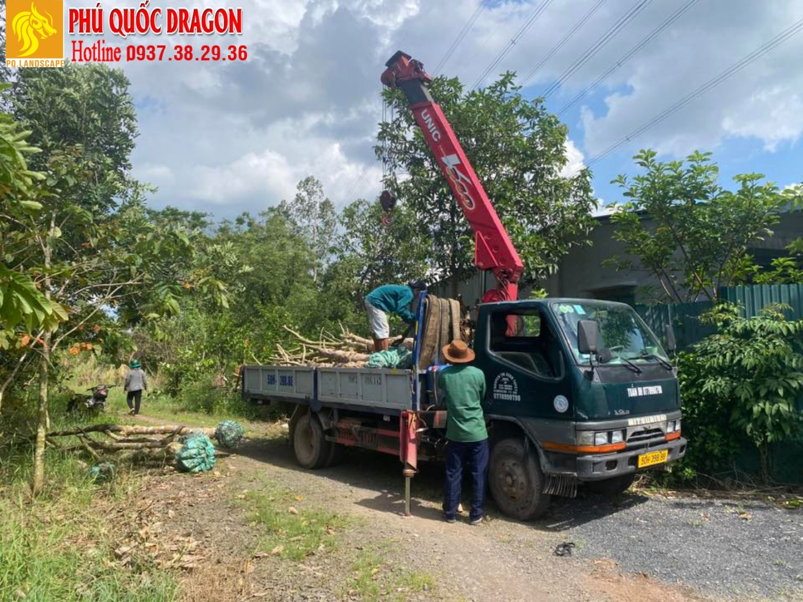 [Thumnail] Dịch vụ bứng cây