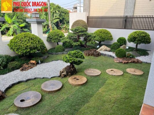 Lưu ý khi thiết kế và thi công sân vườn tiểu cảnh 