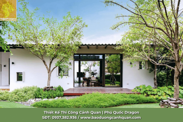 Dịch vụ Thiết kế sân vườn