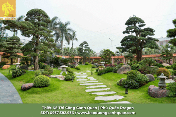 Dịch vụ Thiết kế sân vườn