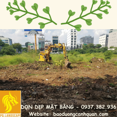 Hình 6: Dọn dẹp mặt bằng 6