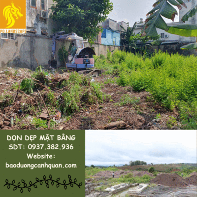 Dọn dẹp mặt bằng 1