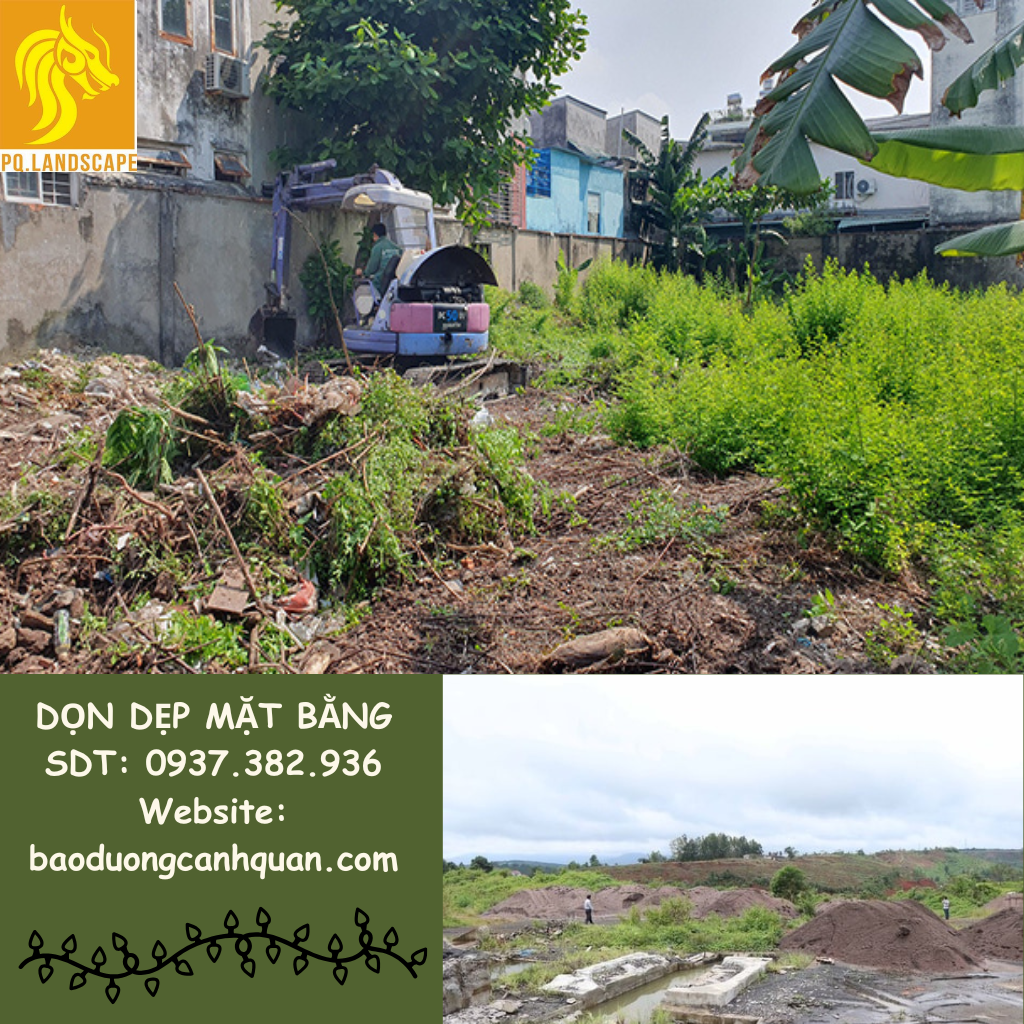 Dọn dẹp mặt bằng 1