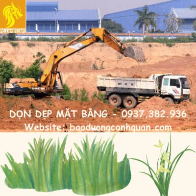 Hình 4: Dọn dẹp mặt bằng 4