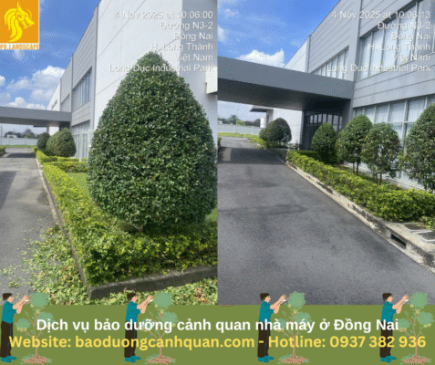 Hình Bảo Dưỡng