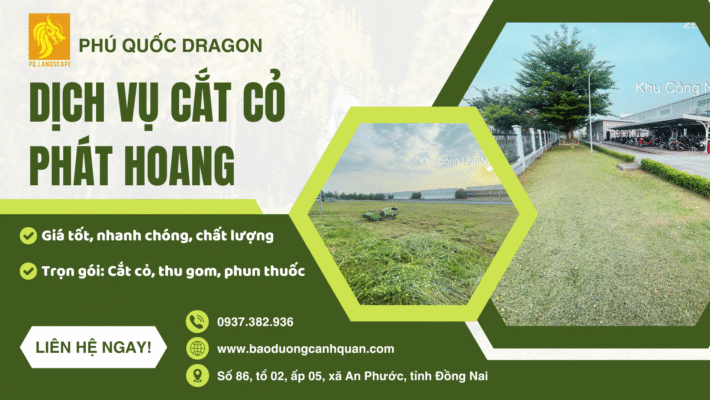 cắt cỏ phát hoang tại Đồng Nai