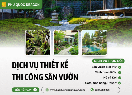 Thi công sân vườn