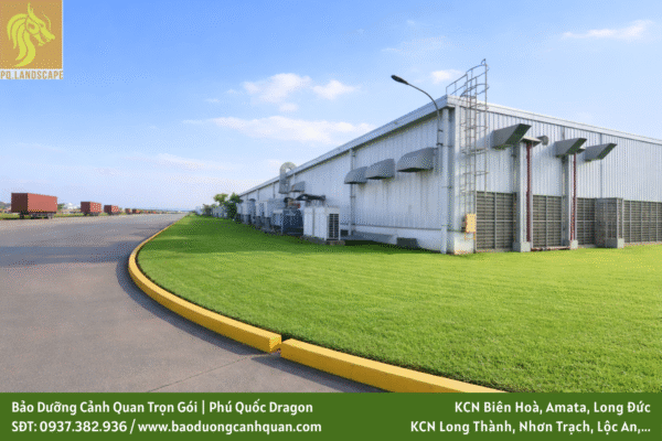 Dịch vụ bảo dưỡng cảnh quan