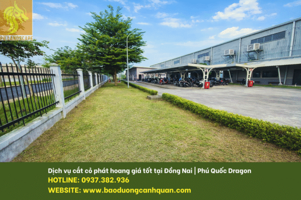 Cắt cỏ công nghiệp Đồng Nai