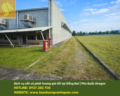 Dịch vụ cắt cỏ giá rẻ Đồng Nai