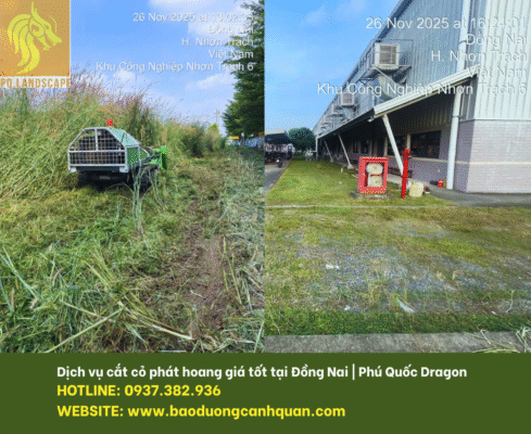 cắt cỏ phát hoang giá rẻ Đồng Nai