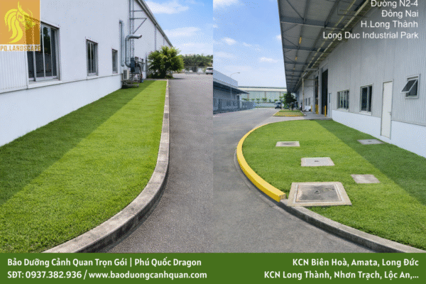 Dịch vụ bảo dưỡng cảnh quan