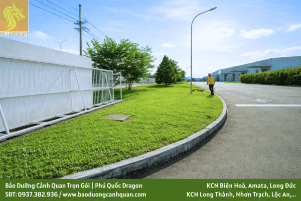 Dịch vụ bảo dưỡng cảnh quan