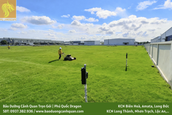 Dịch vụ bảo dưỡng cảnh quan