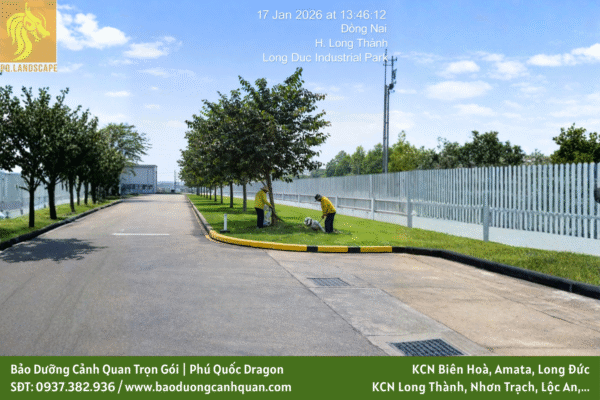 Dịch vụ bảo dưỡng cảnh quan