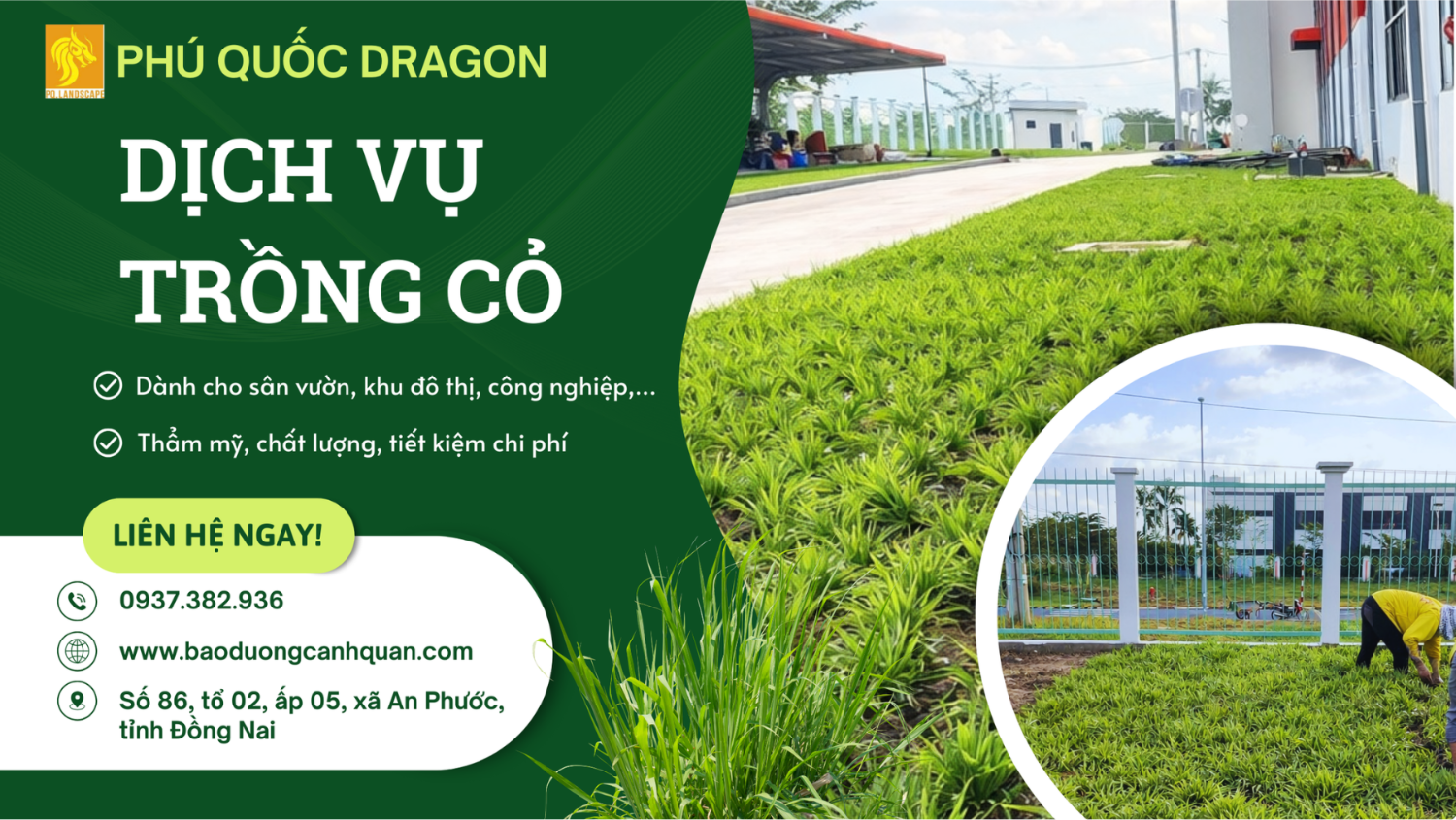 Dịch vụ trồng cỏ