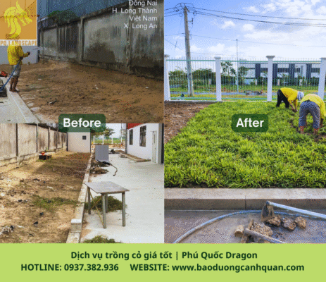 Trồng cỏ Đồng Nai