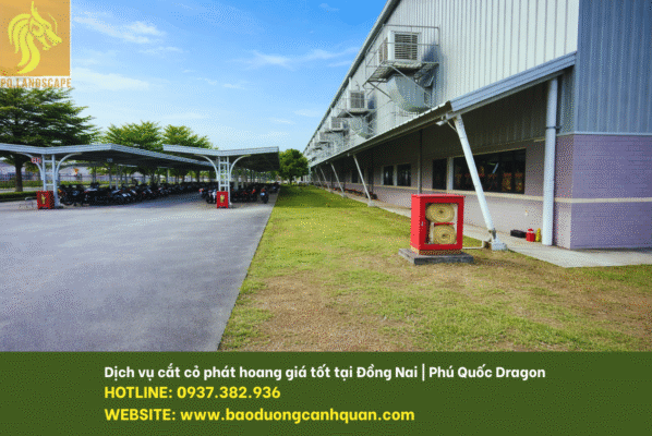 Dịch vụ cắt cỏ giá rẻ Đồng Nai