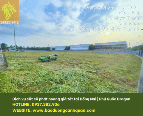 Dịch vụ cắt cỏ giá rẻ Đồng Nai