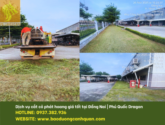 cắt cỏ phát hoang giá rẻ Đồng Nai