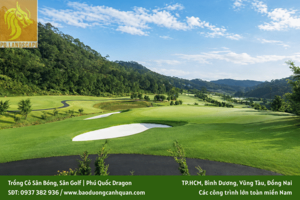 trồng cỏ sân bóng trồng cỏ sân golf